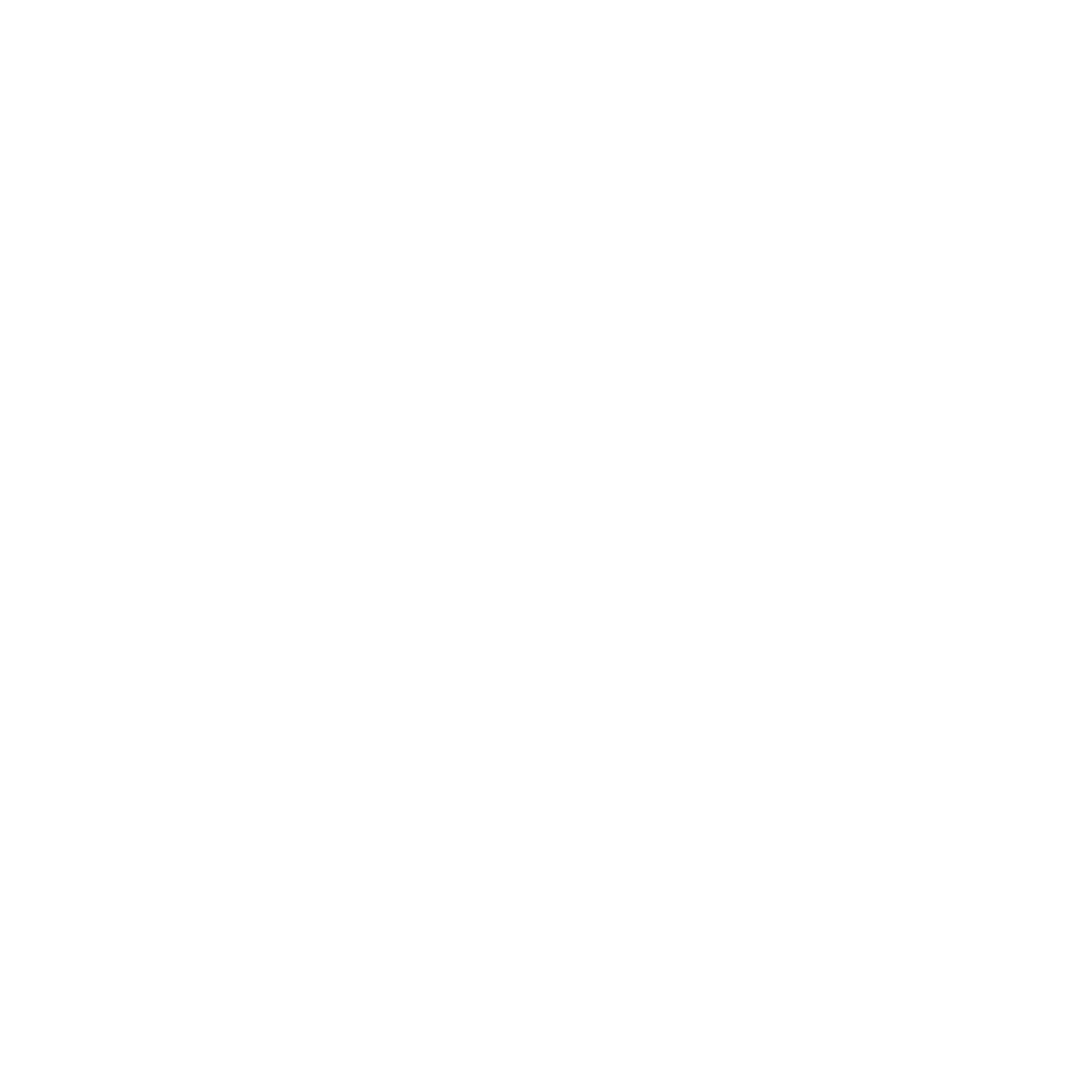 e levora group (3)