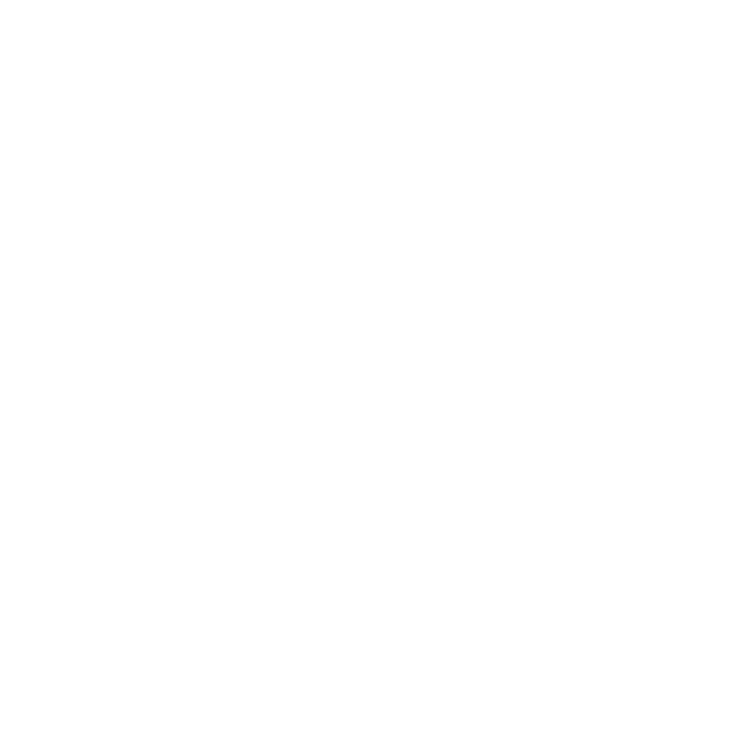 e levora group